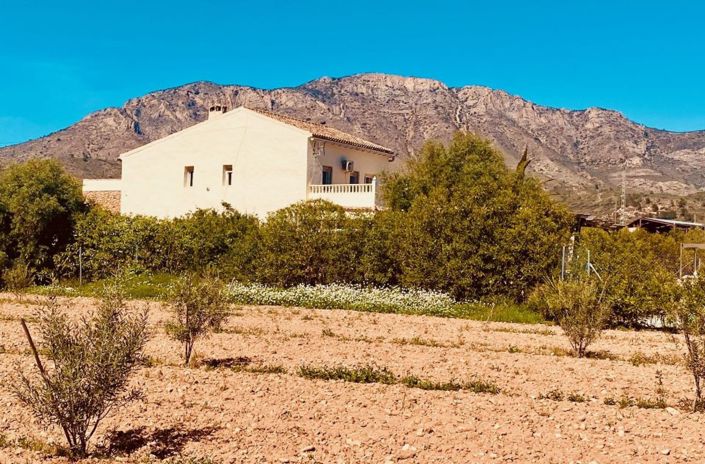 Image No.15-5 Bed Country House for sale