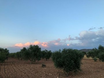 we0f07ac1-5208-4ed8-800c-e2d0687dc811