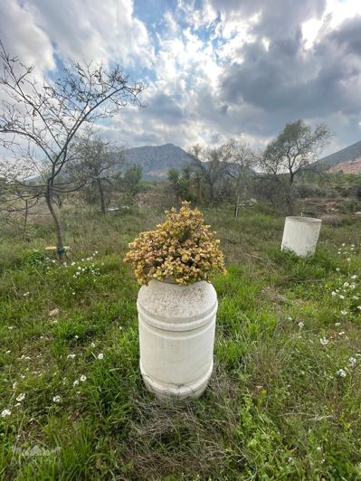 Image No.25-Maison de 2 chambres à vendre à Murcie