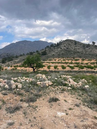 Image No.29-Maison de 2 chambres à vendre à Murcie