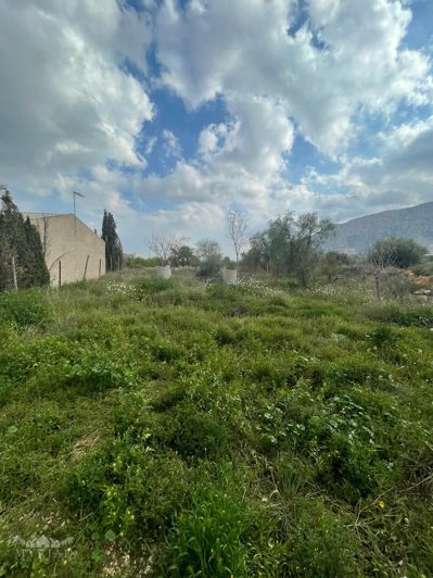 Image No.33-Maison de 2 chambres à vendre à Murcie