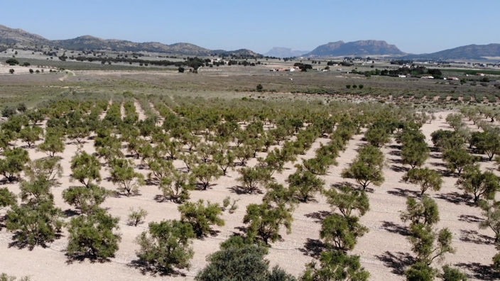 Image No.10-Land for sale