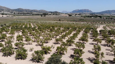 propertyattachment10bvqnhgzx20260313080556