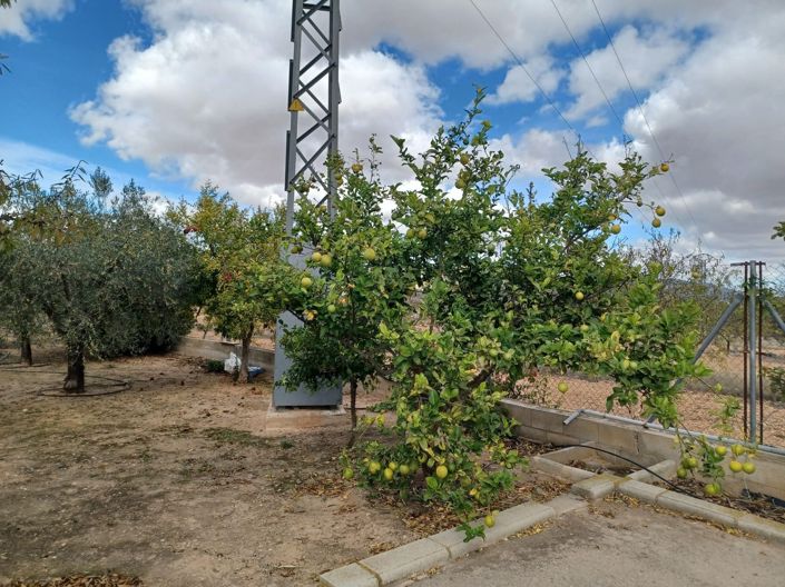 Image No.10-Maison de campagne de 4 chambres à vendre à Monóvar