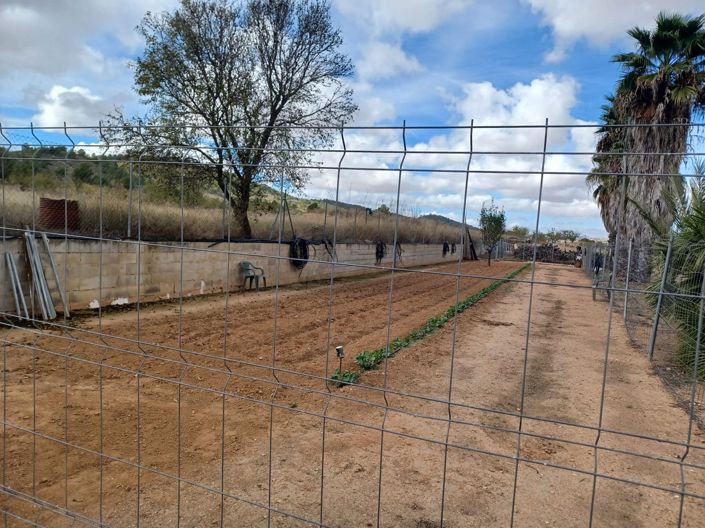Image No.11-Maison de campagne de 4 chambres à vendre à Monóvar