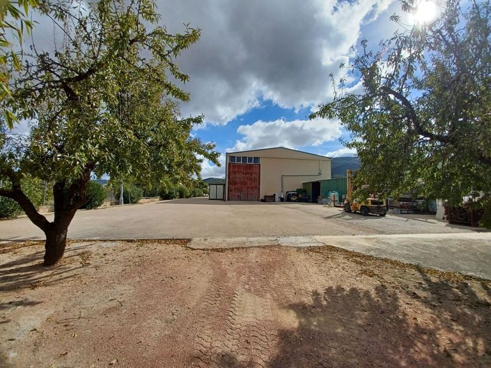 Image No.3-Maison de campagne de 4 chambres à vendre à Monóvar