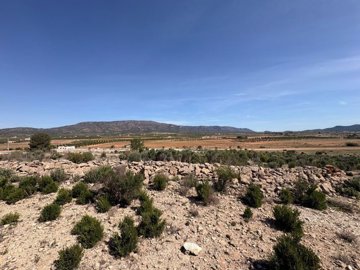 w85f998cb-341f-4c02-bdb6-0f889ce2e03f