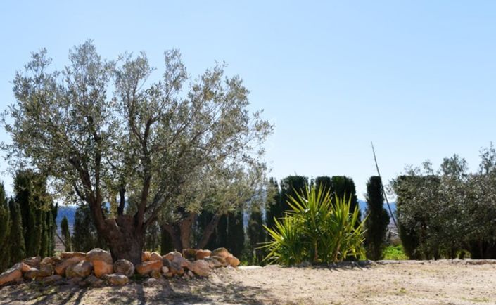 Image No.20-4 Bed Country House for sale