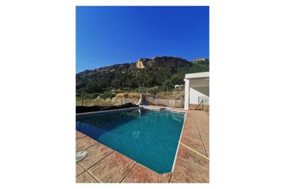 wresale-finca-country-property-crevillente270