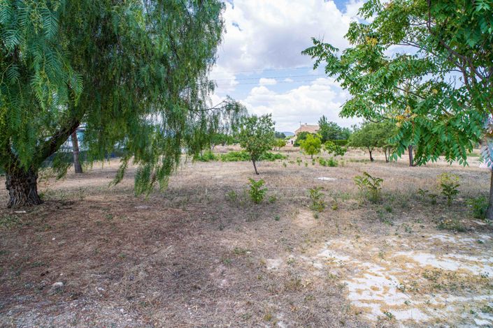 Image No.3-Land for sale