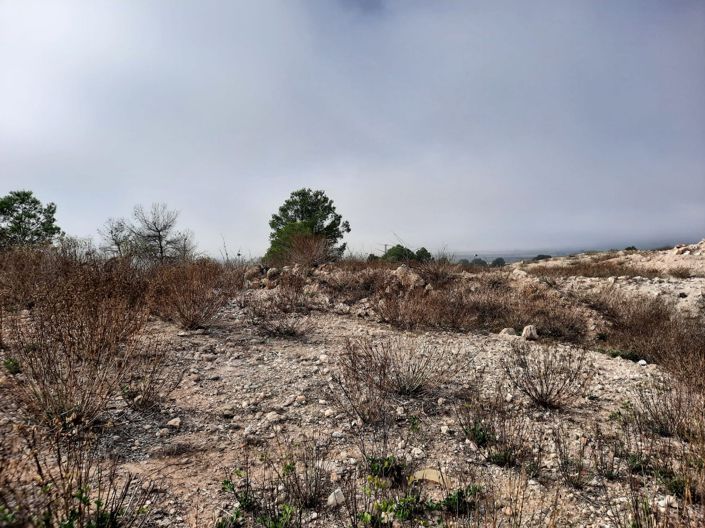 Image No.4-Land for sale