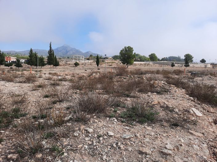 Image No.6-Land for sale