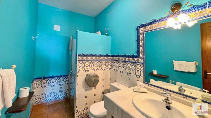 Image No.40-Villa de 7 chambres à vendre à Frigiliana