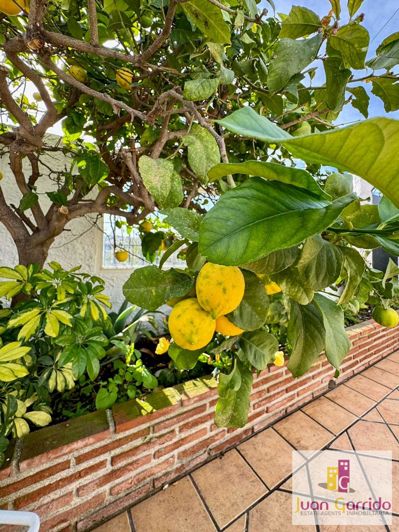 Image No.11-2 Bed Property for sale