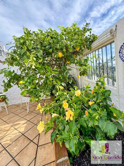 Image No.13-2 Bed Property for sale