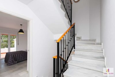property226537880