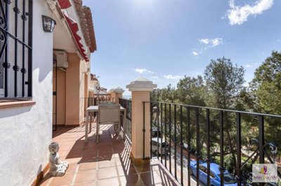 property226537450