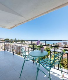 property226794523
