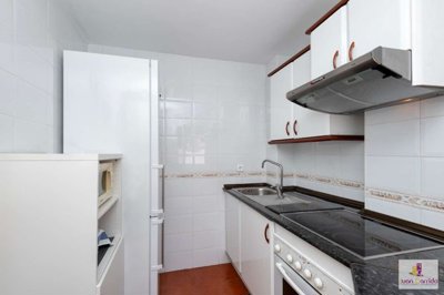 property234439464