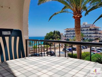 property234805253