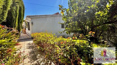 property244804951
