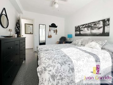 property244677787
