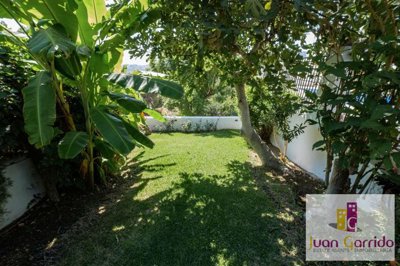 property246147546