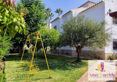 property261393236