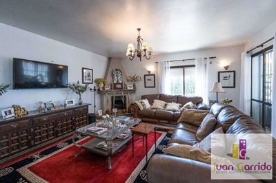 property271506567