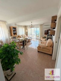 property273394384