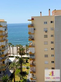 property273394504