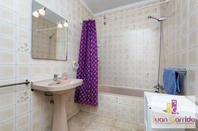 property279446754
