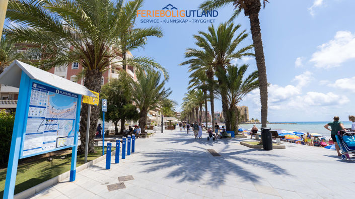 Image No.42-Appartement de 2 chambres à vendre à Torrevieja