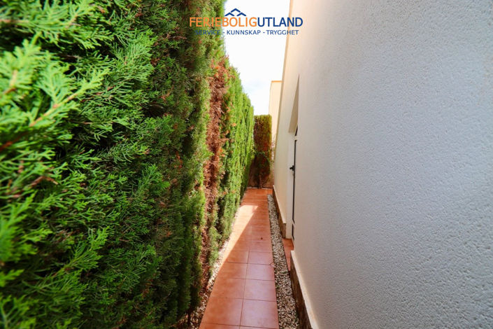 Image No.16-Villa de 2 chambres à vendre à Guardamar del Segura