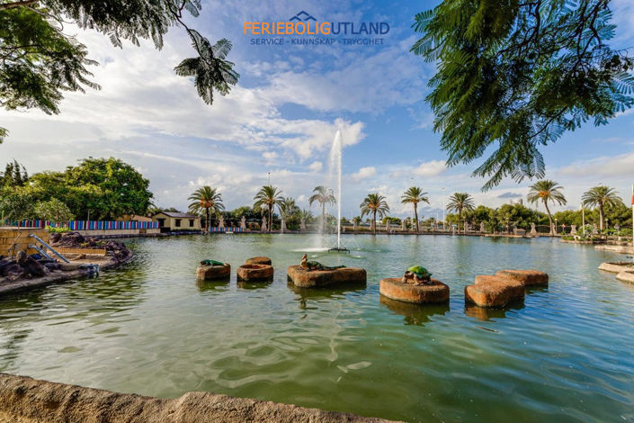 Image No.41-Appartement de 3 chambres à vendre à Alicante