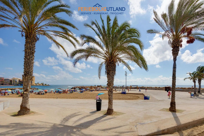 Image No.43-Appartement de 3 chambres à vendre à Alicante