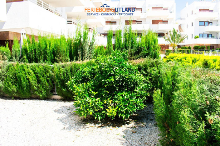 Image No.31-Appartement de 2 chambres à vendre à Campoamor