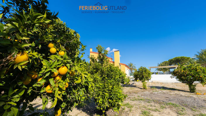 Image No.4-4 Bed Villa for sale