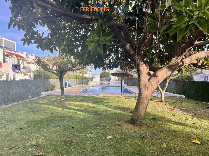 Image No.13-1 Bed Apartment for sale