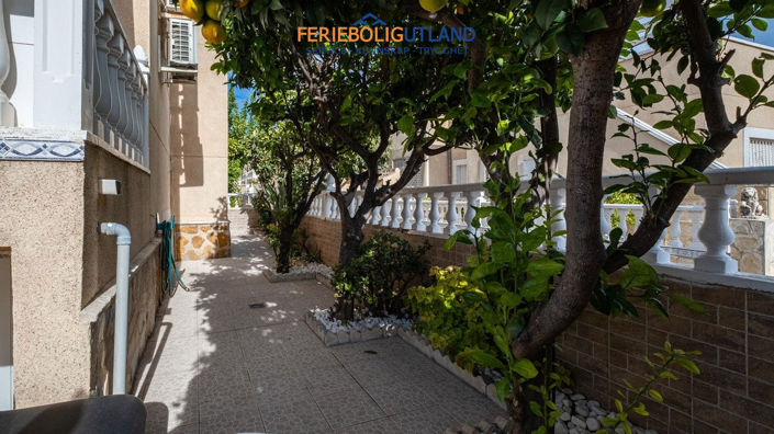 Image No.30-3 Bed Quad for sale