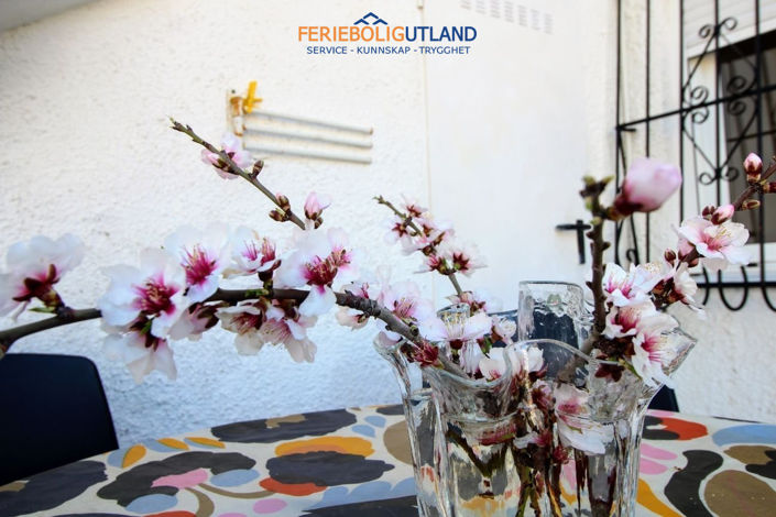 Image No.18-Appartement de 1 chambre à vendre à Torrevieja