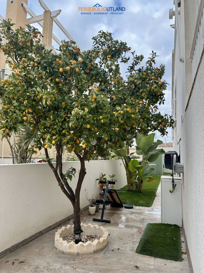 Image No.9-Villa de 3 chambres à vendre à Los Altos