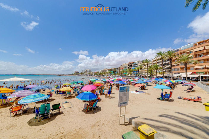 Image No.45-Appartement de 3 chambres à vendre à Alicante