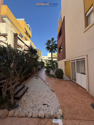 Image No.3-Appartement de 2 chambres à vendre à Playa Flamenca