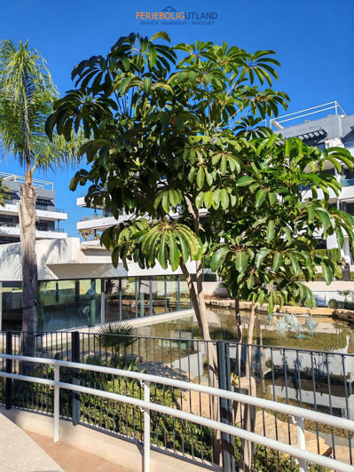 Image No.43-2 Bed Apartment for sale