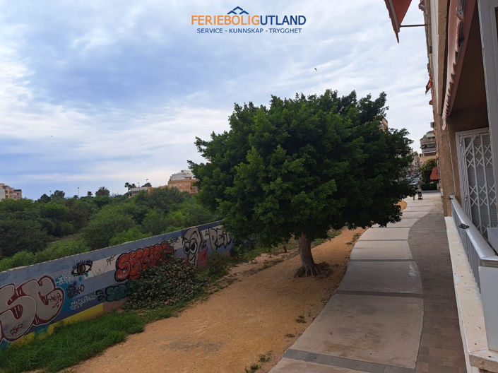 Image No.14-Appartement de 2 chambres à vendre à Torrevieja