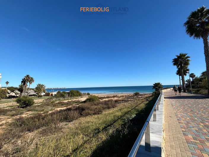 Image No.25-2 Bed Bungalow for sale