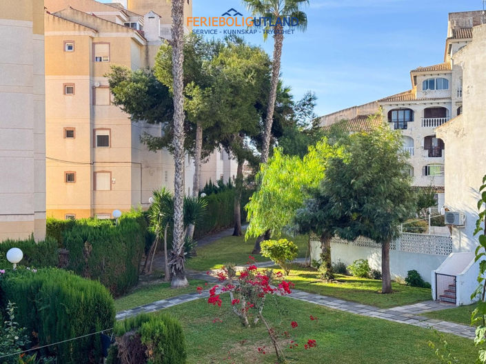 Image No.20-Appartement de 1 chambre à vendre à Alicante