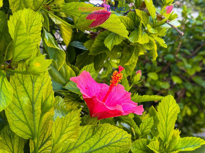 Image No.3-1 Bed Apartment for sale