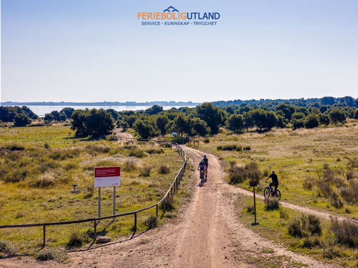 Image No.5-2 Bed Townhouse for sale